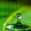 En dråbe vand der lander på et grønt blad.